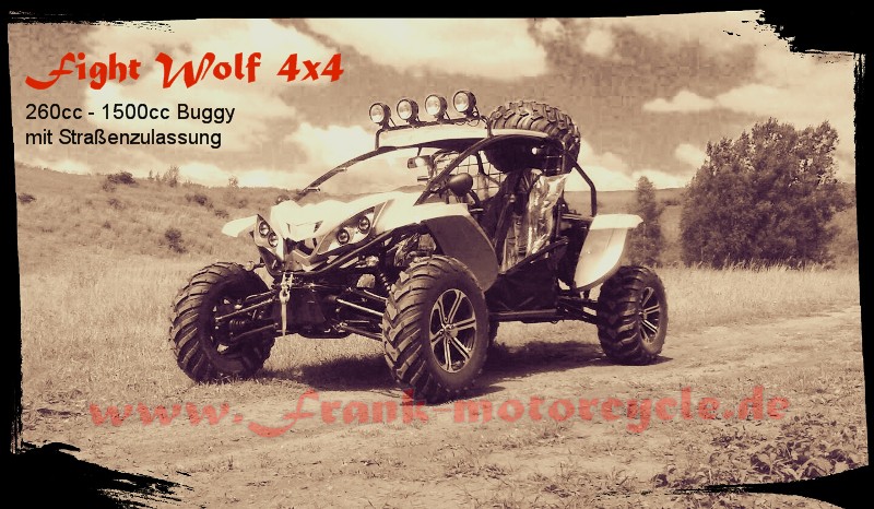 Buggy Fight Wolf 260-1500cc 4x4 UTV Side by Side mit Straßenzulassung